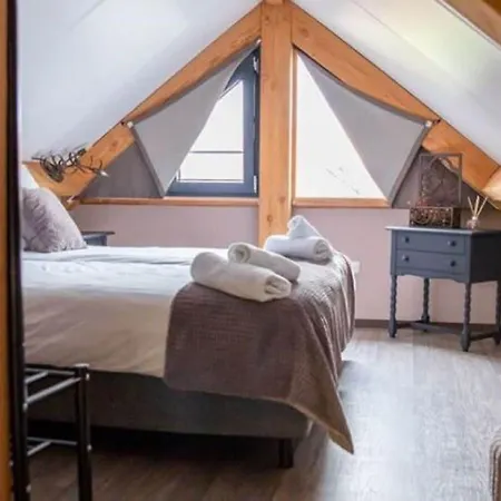 Modern Garden View In