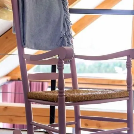 Modern Garden View In