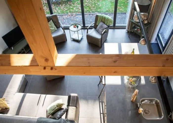 Modern Garden View In Alphen (North Brabant)