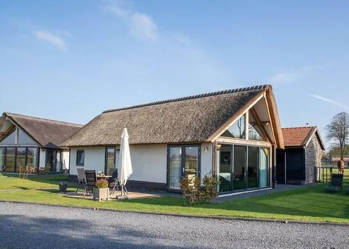 Modern Garden View In