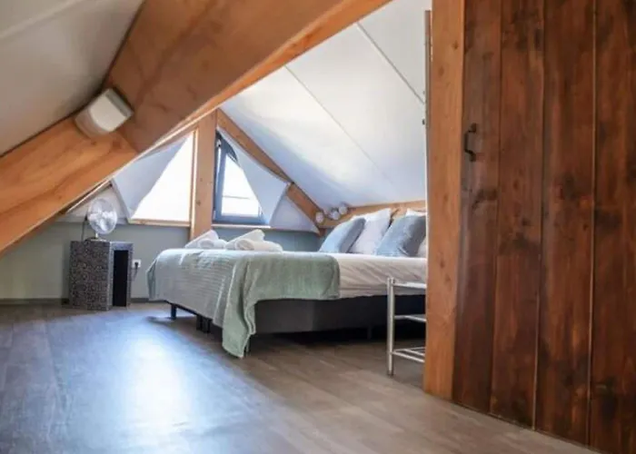 Modern Garden View In *