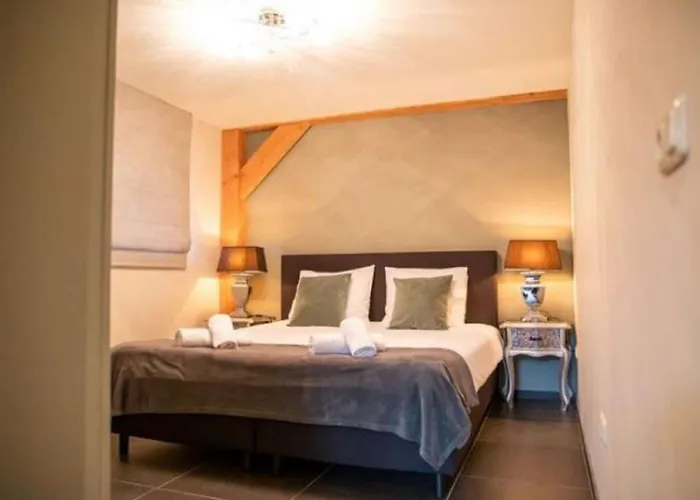 Modern Garden View In Alphen (North Brabant)