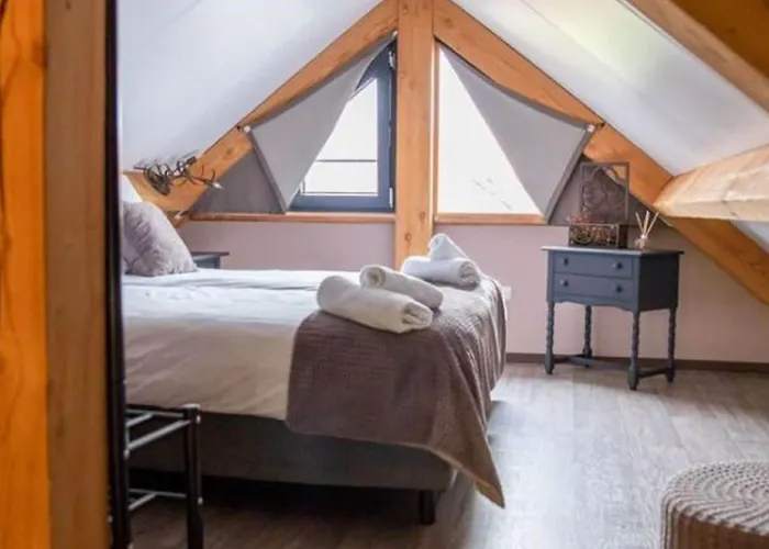 Modern Garden View In