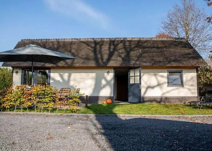 Modern Garden View In *