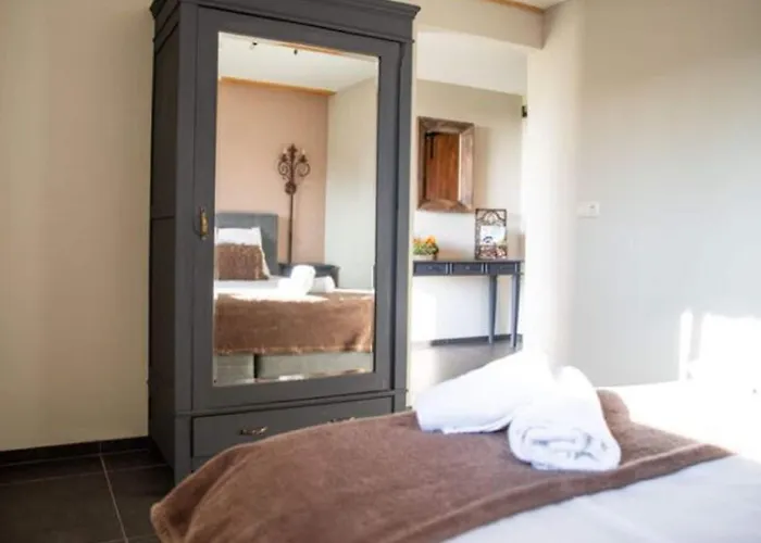 Modern Garden View In