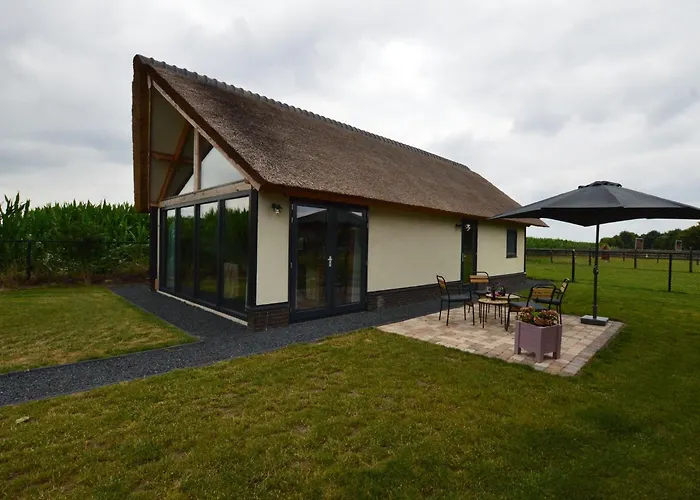 Modern Garden View In