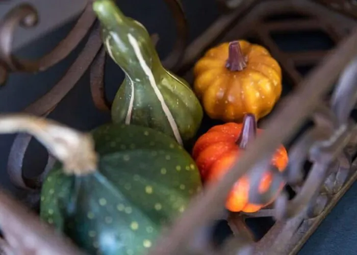 Modern Garden View In