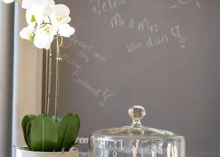 Modern Garden View In Ferienhaus Alphen (North Brabant)