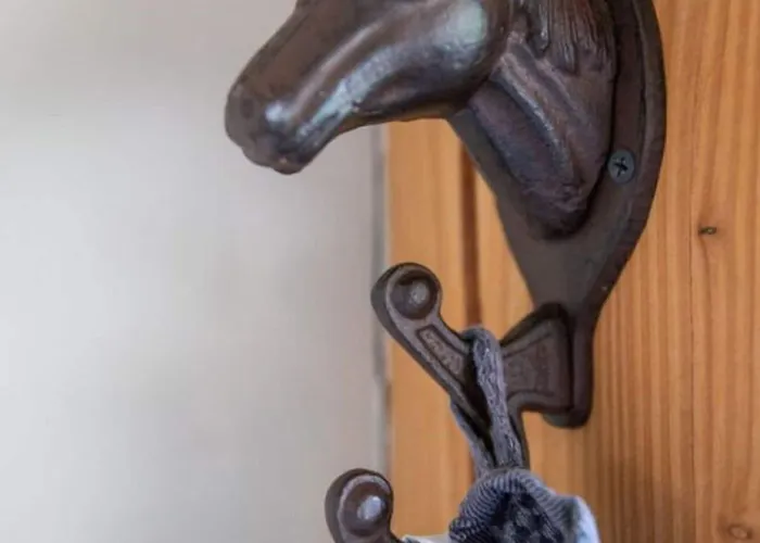 Ferienhaus Modern Garden View In *