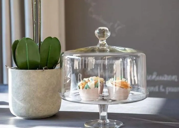 Modern Garden View In