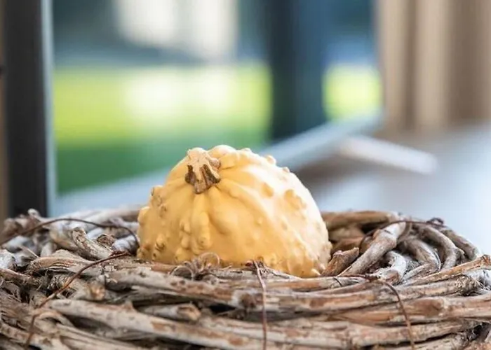 Modern Garden View In *