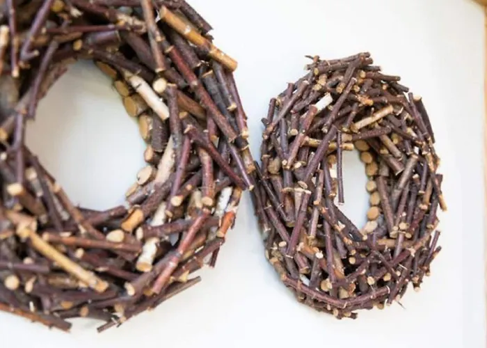 Modern Garden View In *