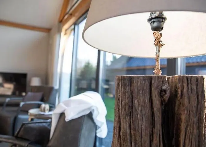 Modern Garden View In Alphen (North Brabant)