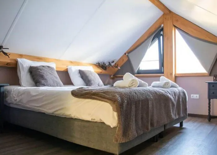 Modern Garden View In * Alphen (North Brabant)