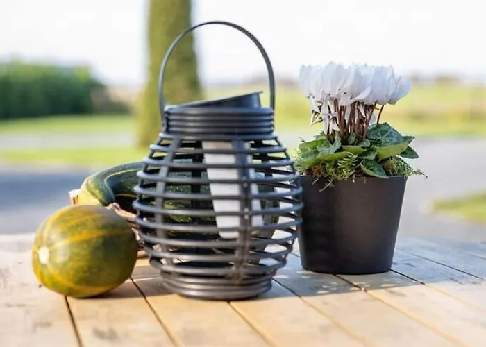 Ferienhaus Modern Garden View In