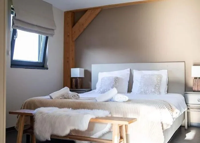 Modern Garden View In Alphen (North Brabant)