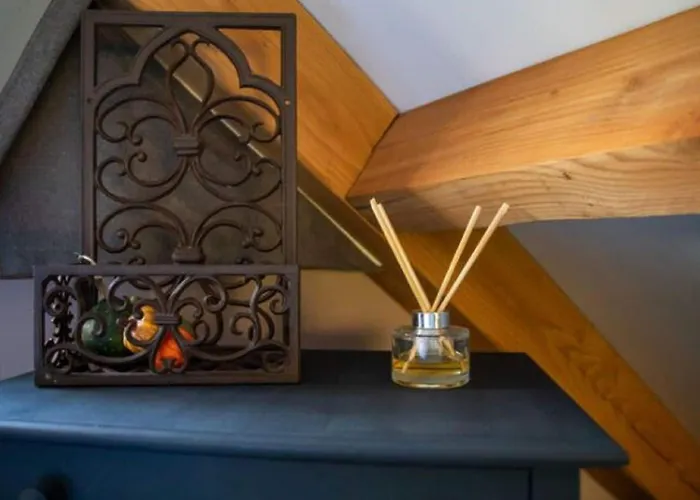 Modern Garden View In * Alphen (North Brabant)