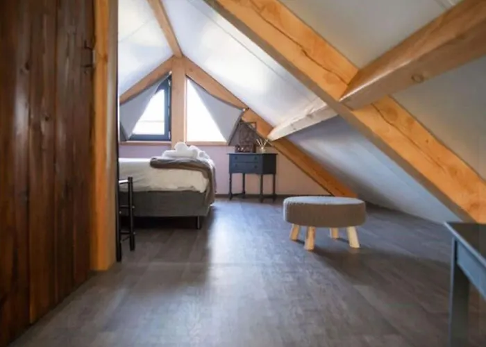 Modern Garden View In *