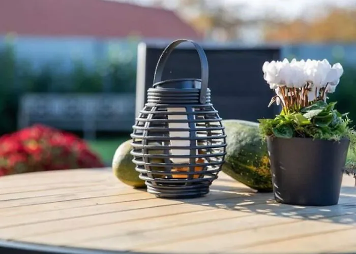 Modern Garden View In