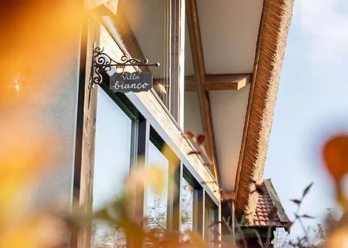 Modern Garden View In Ferienhaus