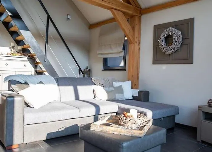 Modern Garden View In *