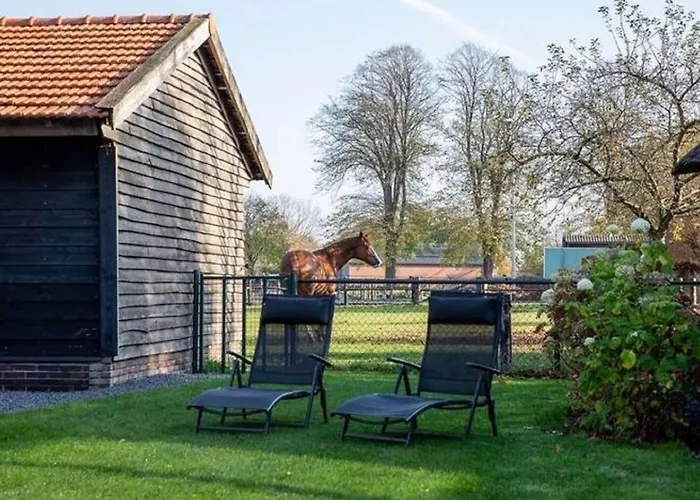 Modern Garden View In * Alphen (North Brabant)