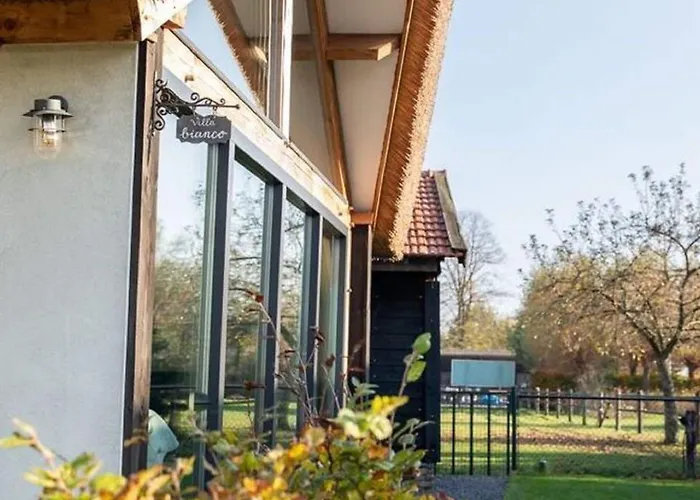 Modern Garden View In