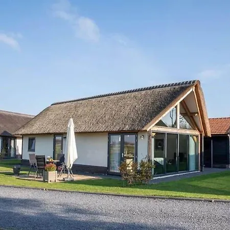 Modern Garden View In