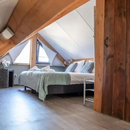 Modern Garden View In *