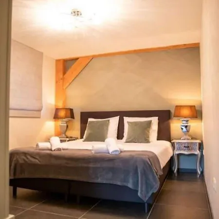 Modern Garden View In Alphen (North Brabant)