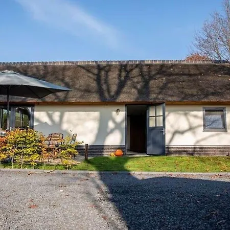 Modern Garden View In *