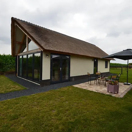 Modern Garden View In