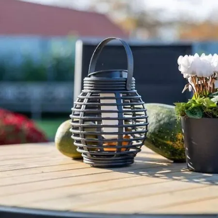 Modern Garden View In