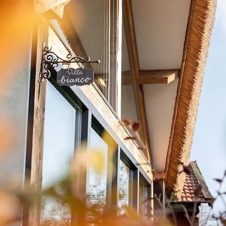 Modern Garden View In بيت للعطل