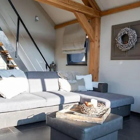 Modern Garden View In *