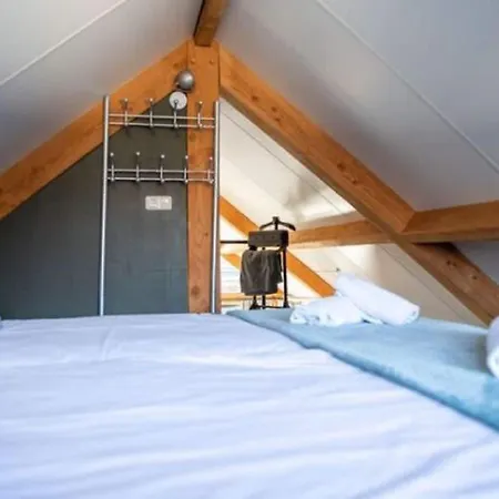 Modern Garden View In