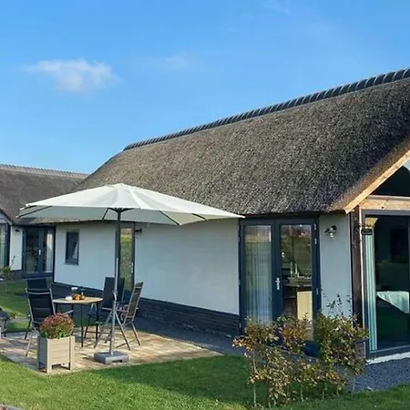 Modern Garden View In