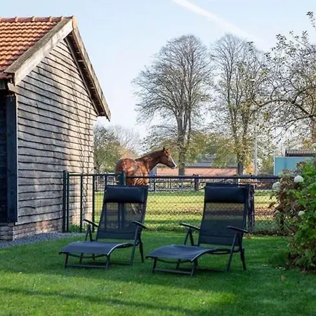 Modern Garden View In * Alphen (North Brabant)