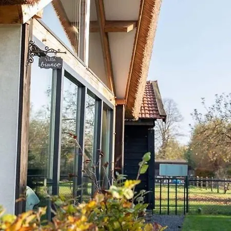 Modern Garden View In